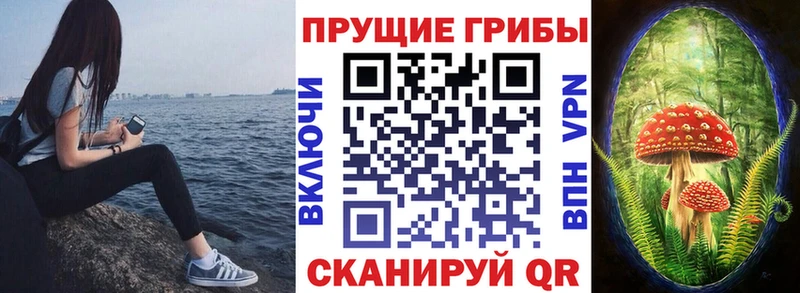Псилоцибиновые грибы Magic Shrooms Морозовск